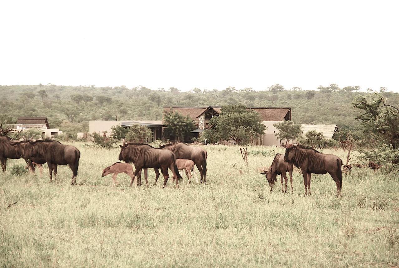 Hectorspruit Kruger Sunset Lodge מראה חיצוני תמונה